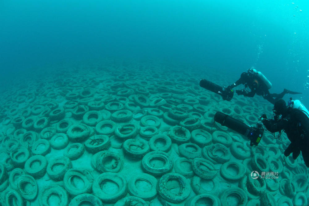 美国百万轮胎坟墓 人工海礁成环境灾难