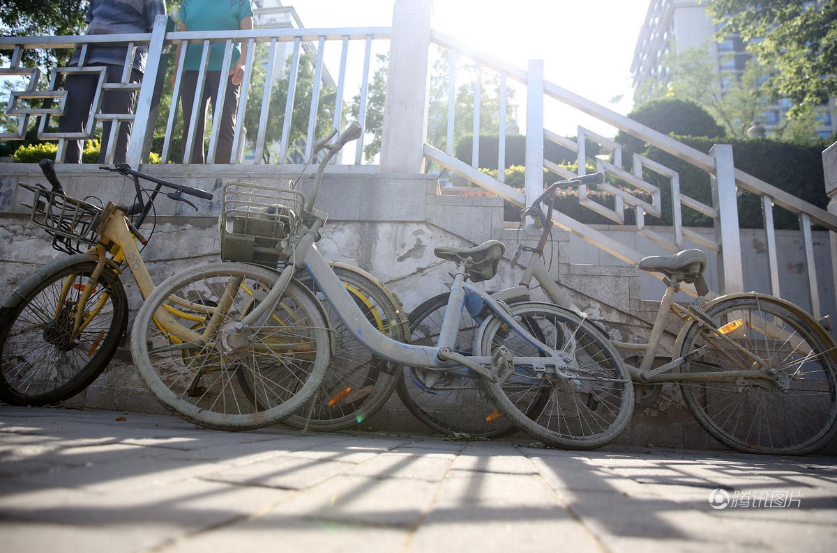 北京1.4公里河道捞出30余辆共享单车 长满绿毛