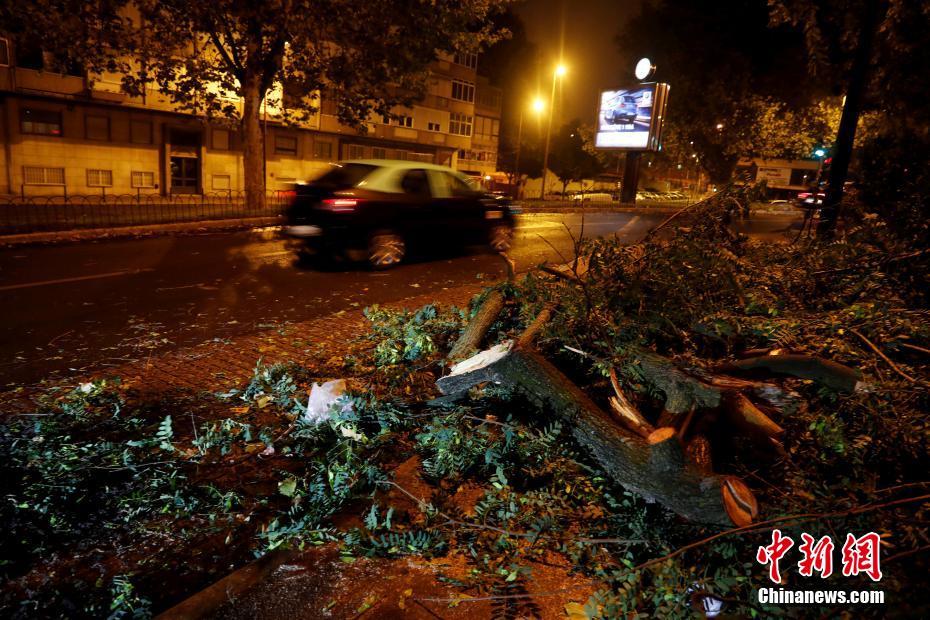 葡萄牙遭一级飓风“莱斯利”袭击 树木刮倒街头狼藉