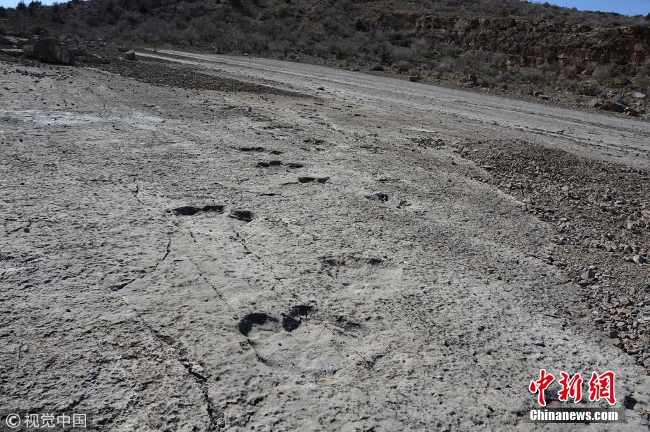 土库曼斯坦现1亿5000万年前恐龙脚印 最长脚印约80厘米