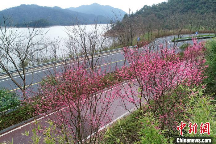 杭州千岛湖花开正盛春渐浓
