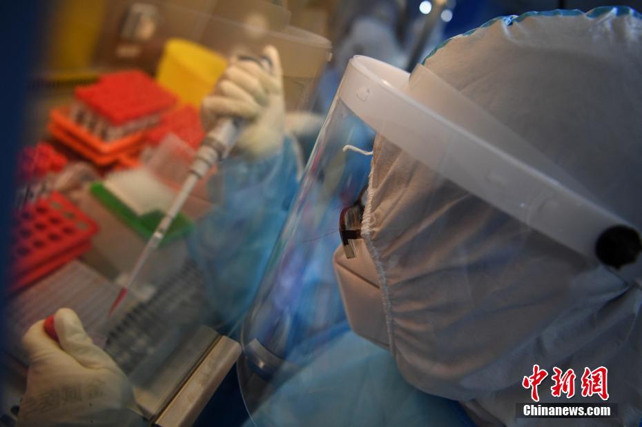 北京:实验室多班次轮替 端午假期昼夜不息检测核酸