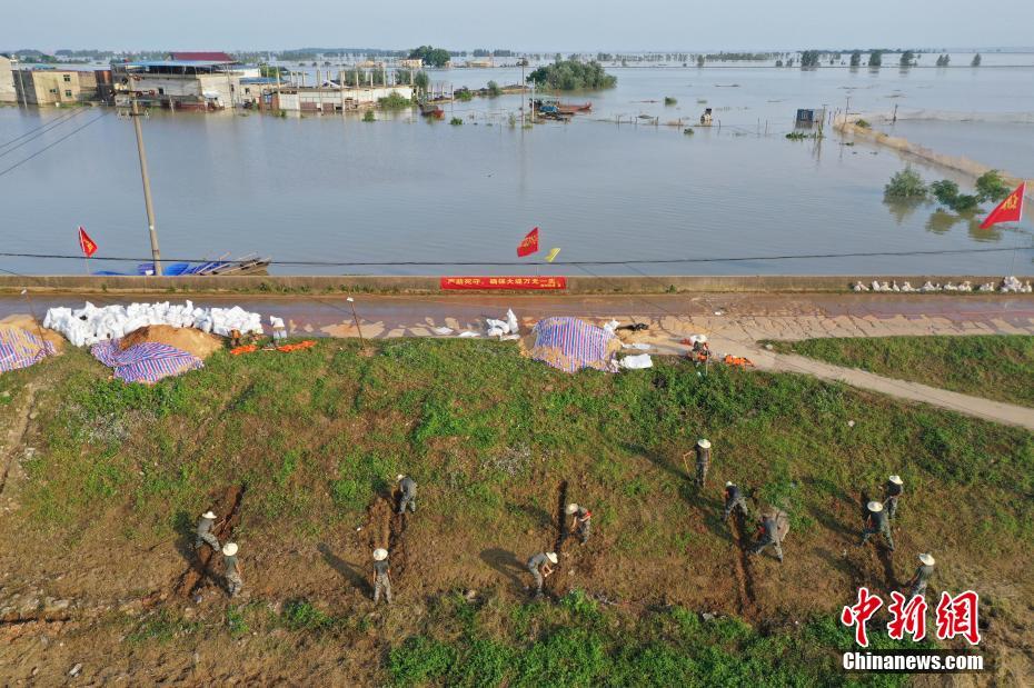 江西鄱阳圩堤抢险现场：烈日下加固堤坝
