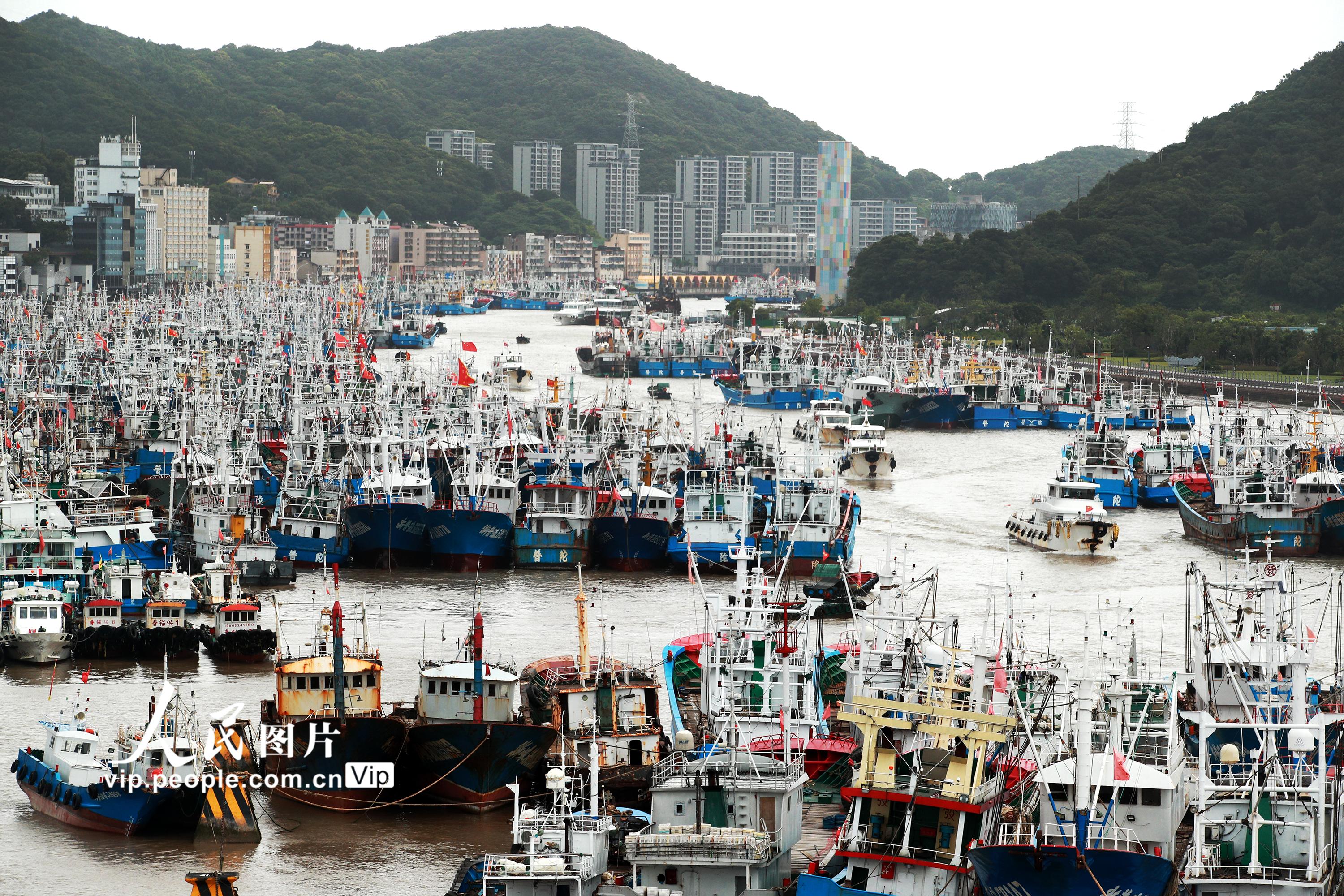 浙江舟山：5500多艘渔船到港避风