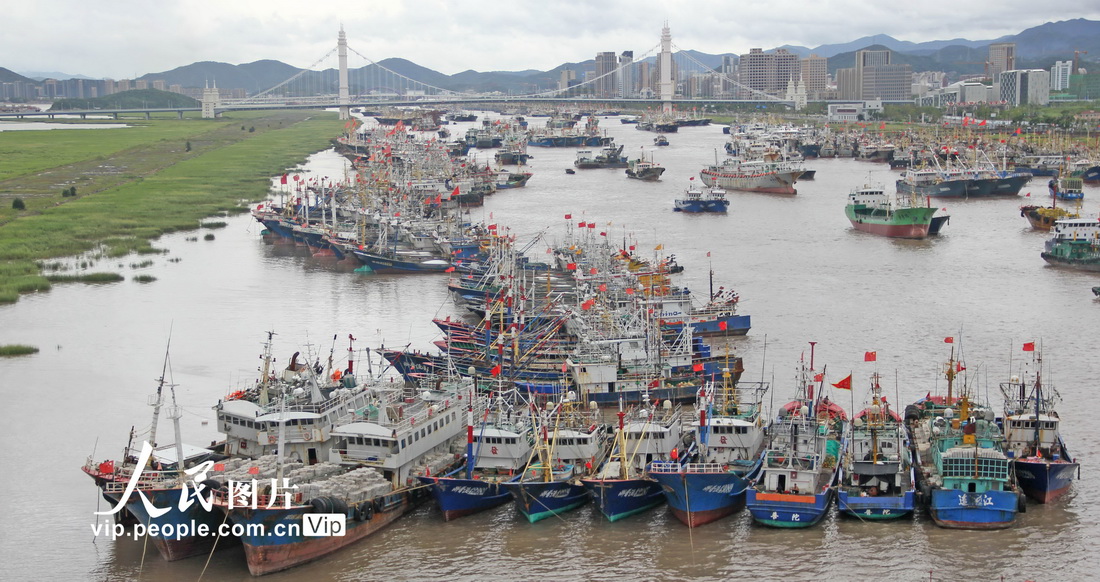浙江舟山：渔船靠港避台风