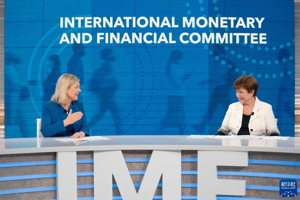 IMF决策机构呼吁加强多边合作实现包容性复苏