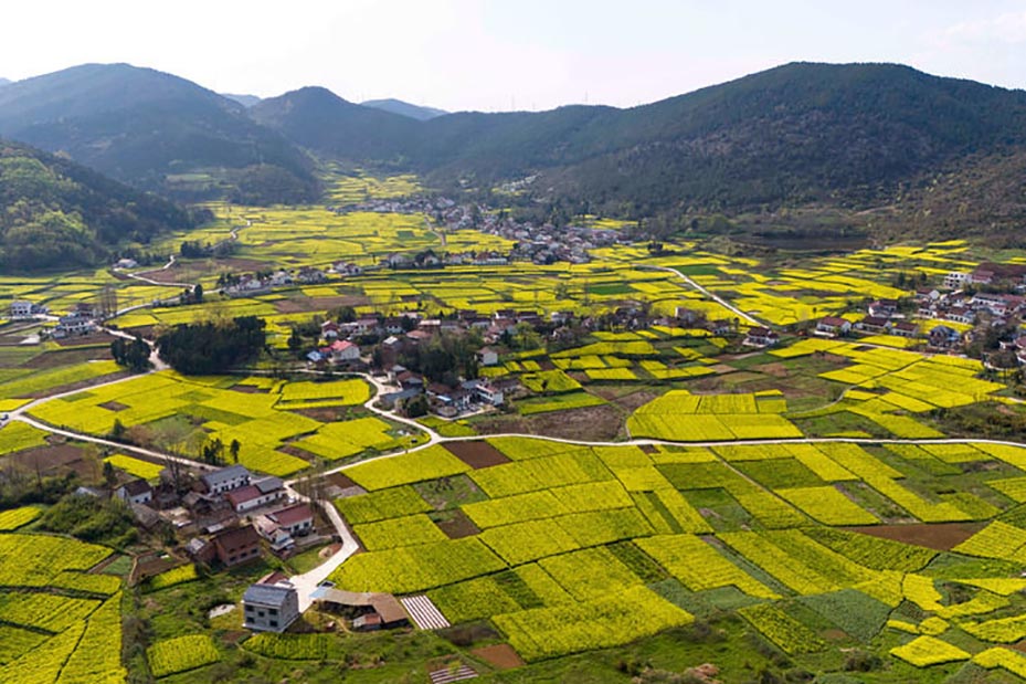 听民意 解民忧 固长效&mdash;&mdash;各地扎实开展树立和践行正确政绩观学习教育