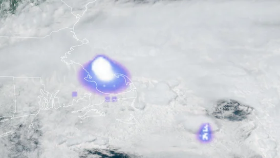 7.png