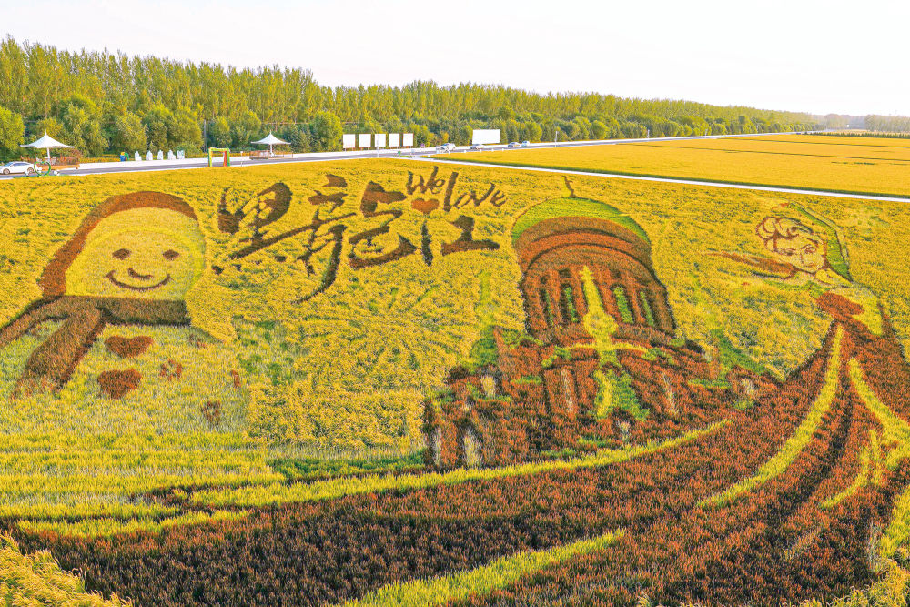 亘古荒原怎样变成&ldquo;中国饭碗&rdquo;？&mdash;&mdash;写在黑土地上的北大荒精神